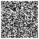 QR code with Costas Pizza & Grill Inc contacts