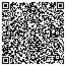 QR code with Brian Lang Excavating contacts