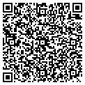 QR code with Sdg Systems contacts