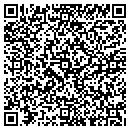 QR code with Practical Approaches contacts