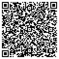 QR code with Torrid contacts