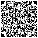 QR code with Carson Public Library contacts