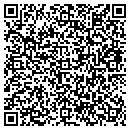 QR code with Blueroof Technologies contacts