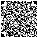 QR code with Carnegie Group contacts