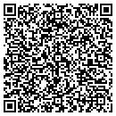 QR code with Professional Tool Service contacts
