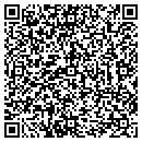 QR code with Pyshers Group Day Care contacts