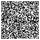 QR code with Professional Casting contacts