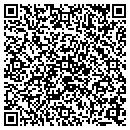 QR code with Public Storage contacts