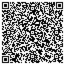 QR code with Cecilie Starin Design contacts