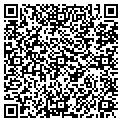 QR code with Willows contacts