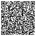 QR code with Datavibes Inc contacts