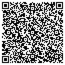 QR code with Blue Ridge Polaris contacts