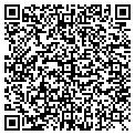 QR code with Lisa Express Inc contacts