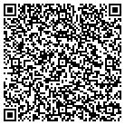 QR code with Blue Ridge Communications contacts