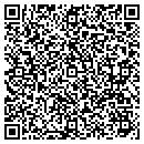 QR code with Pro Telecom Solutions contacts