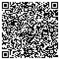 QR code with Geckos contacts