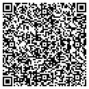 QR code with Psy Services contacts