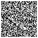 QR code with Carmen Irizarry MD contacts