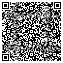 QR code with College View Crafts contacts