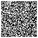QR code with Progressive Designs contacts