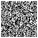 QR code with Pulaski Club contacts