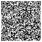 QR code with Pullman Financial Corp contacts