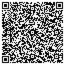 QR code with Professional Sweep contacts