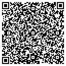 QR code with Punctual Services contacts