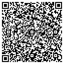 QR code with Pulau Development contacts