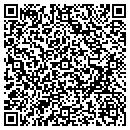 QR code with Premier Graphics contacts
