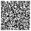 QR code with Sfs Intec Inc contacts