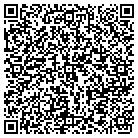 QR code with Professional Internet Group contacts