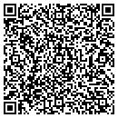 QR code with Carvell Home Care Inc contacts