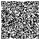 QR code with Premiere Self Storage contacts