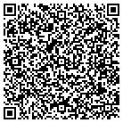 QR code with Pumping Systems Inc contacts