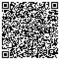 QR code with Tesoro contacts