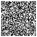 QR code with Pyramid Realty contacts