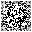 QR code with Prism Esolutions Llc contacts