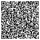 QR code with Colonial Sealcoating contacts