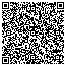QR code with Purity Pools contacts
