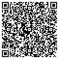 QR code with Salvage Direct Inc contacts