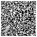 QR code with Professional Pools contacts