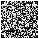 QR code with Careda Wig Boutique contacts