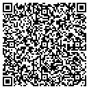 QR code with Problem Solver Fix It contacts