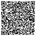 QR code with Modis contacts