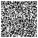 QR code with Process Piping Inc contacts