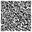 QR code with Carrick Branch Library contacts