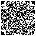 QR code with Gifted contacts