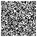 QR code with Professional Automotive & Elec contacts