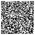 QR code with Tapex contacts